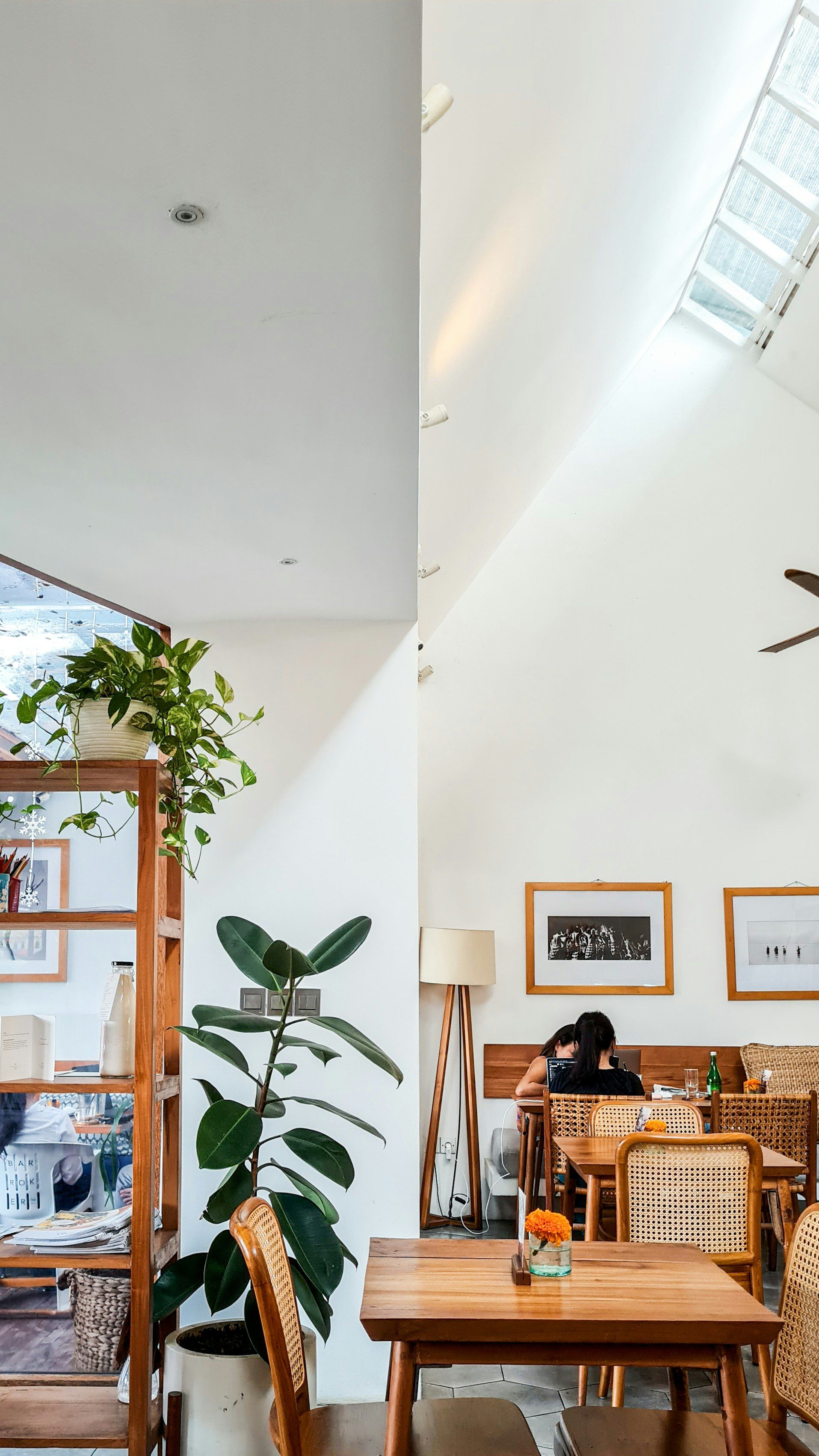 Ruang terang berlangit-langit tinggi dengan skylight, tanaman besar, dan meja kayu